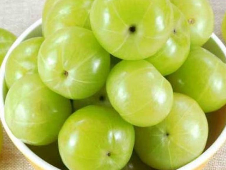 Amla Benefits: ఉసిరి ఆరోగ్యంతో పాటు జుట్టుకు కూడా మేలు..