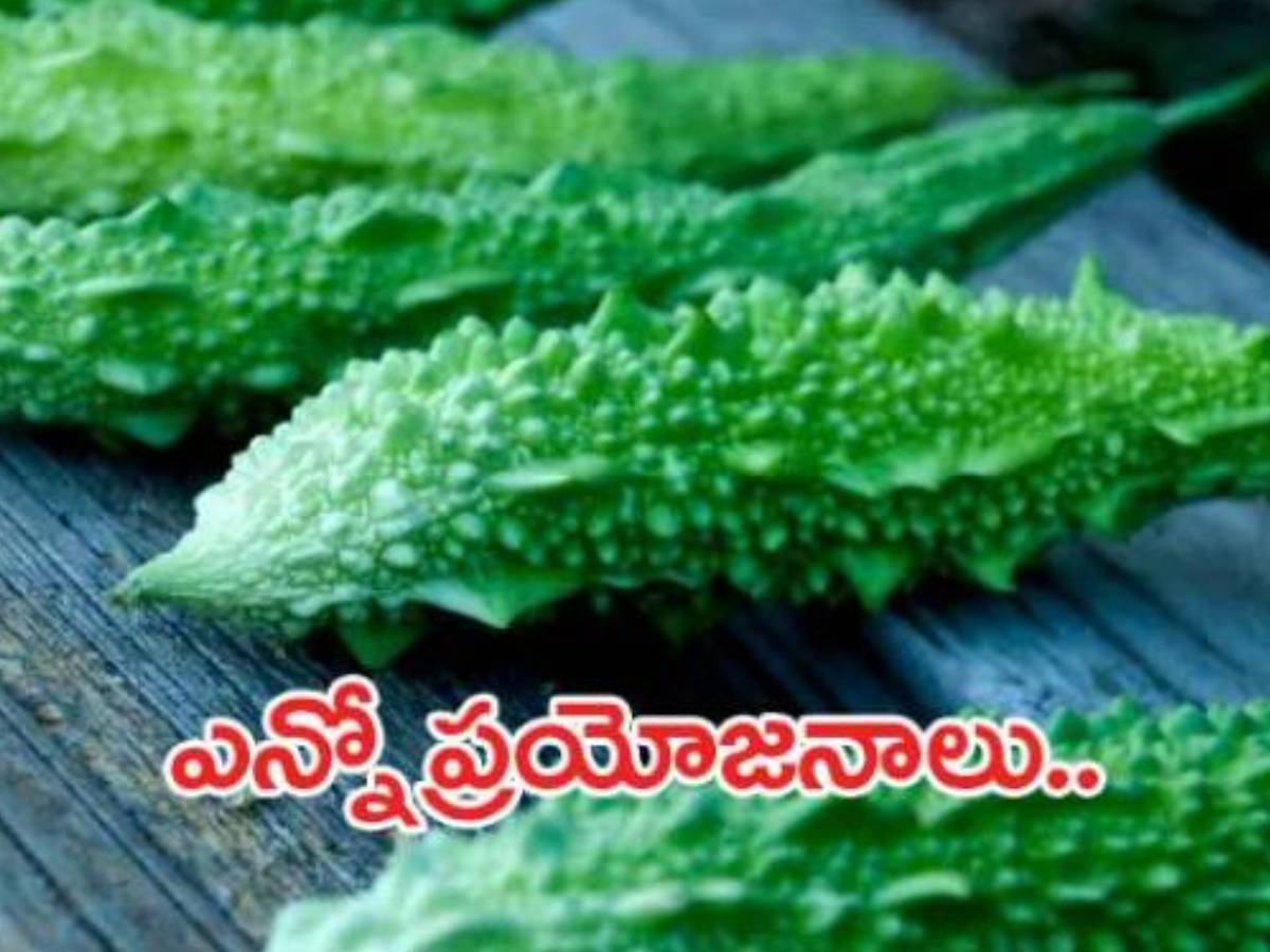 కాకరతో ఈ సమస్యలు దగ్గరికి కూడా రావు..!