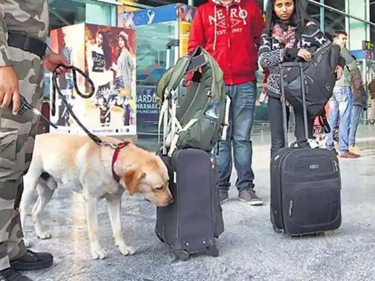 ఢిల్లీ ఎయిర్ పోర్ట్ లో 98 కోట్ల విలువైన డ్రగ్స్ పట్టివేత