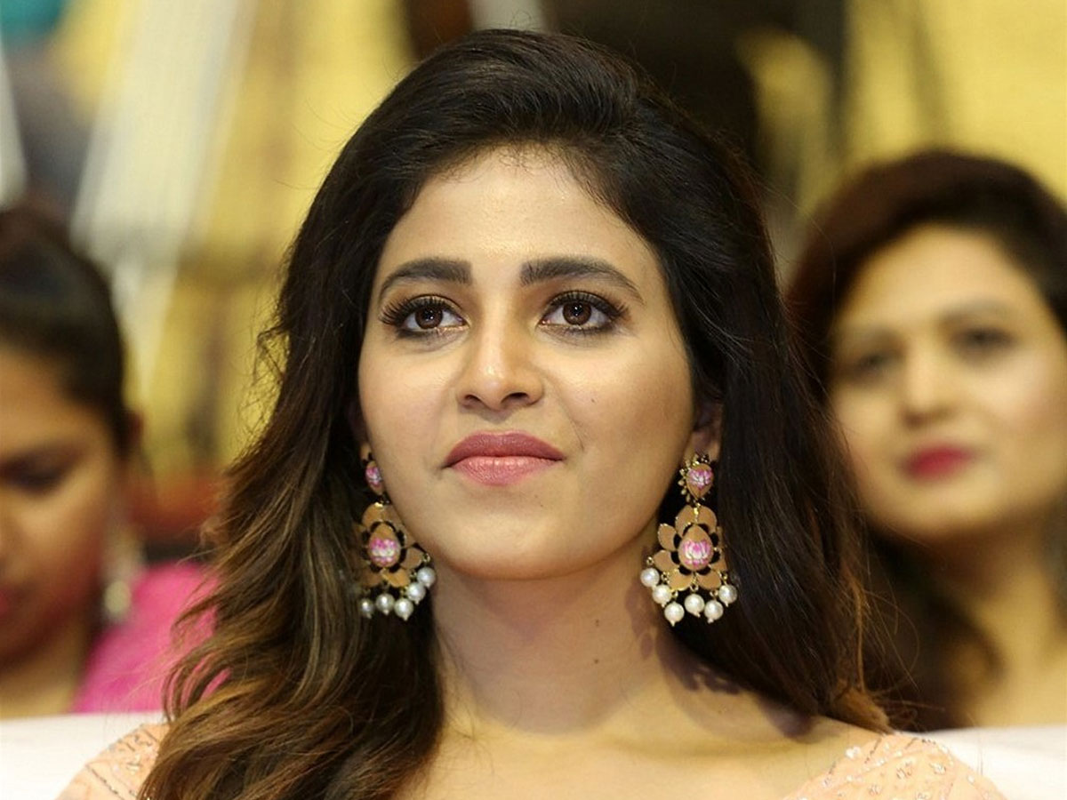 అంజలి ఈ సారైనా నిలదొక్కుకుంటుందా!?