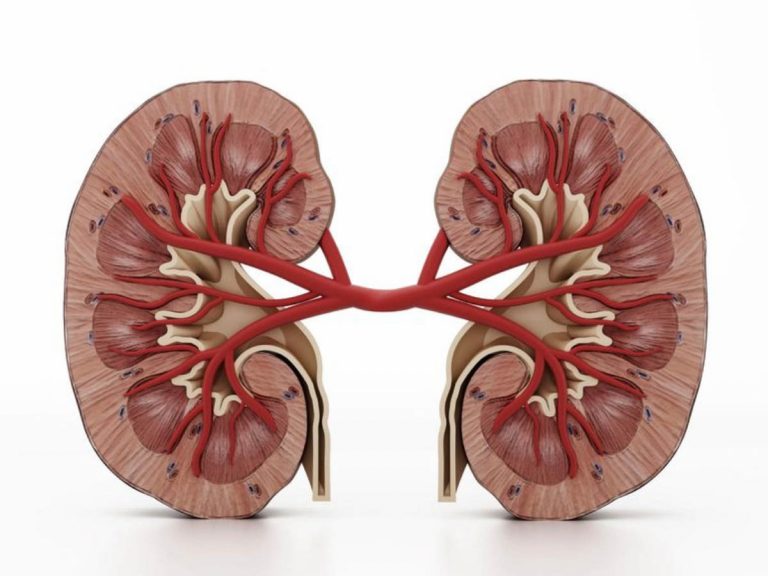 కిడ్నీలపై కోవిడ్ ప్రభావం…జాగ్రత్తలు తీసుకోకుంటే…