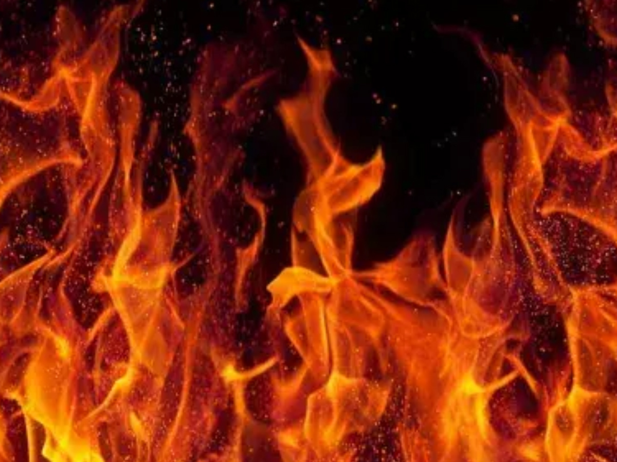 తిరుమలలో అగ్నిప్రమాదం: పలు దుకాణాలు దగ్ధం 