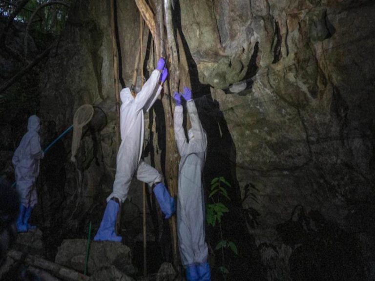 ప్ర‌పంచాన్ని వ‌ణికిస్తున్న క‌రోనా ఆ గుహ‌నుంచే వ‌చ్చిందా?