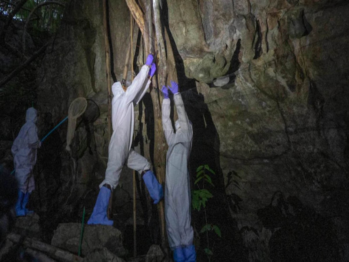 ప్ర‌పంచాన్ని వ‌ణికిస్తున్న క‌రోనా ఆ గుహ‌నుంచే వ‌చ్చిందా?