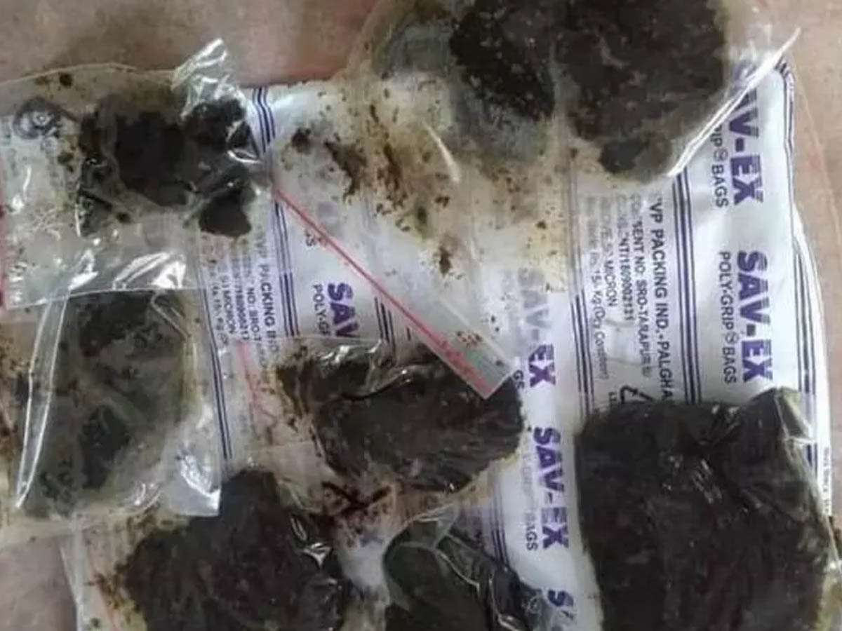 ఆనంద‌య్య మెడిసిన్‌…జంతువుల‌పై ట్ర‌య‌ల్స్…