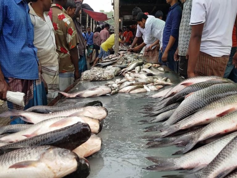 విశాఖ కార్పొరేషన్ కీలక నిర్ణయం… ఆదివారం ఆ మార్కెట్లు బంద్… 