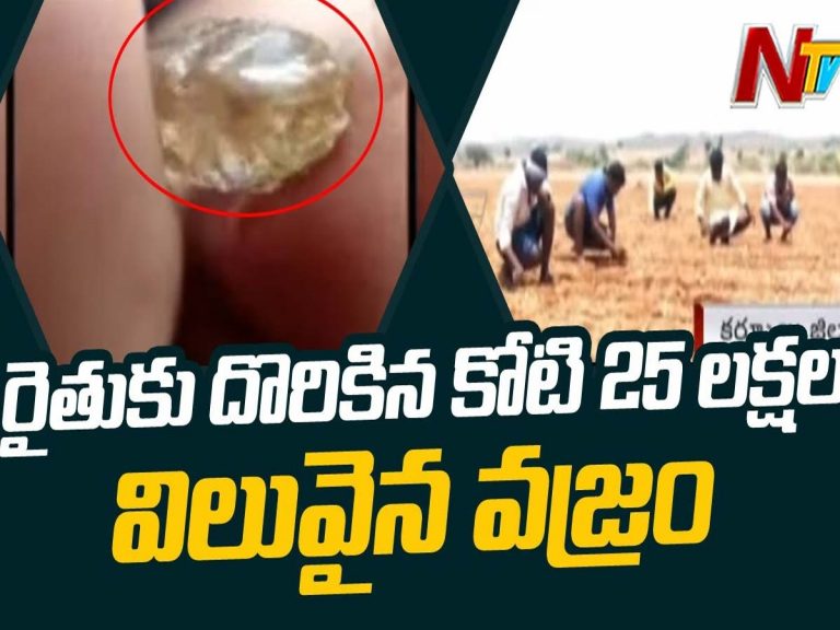 పొలం పనుల్లో వరించిన అదృష్టం… కోటీశ్వరుడైన రైతు …