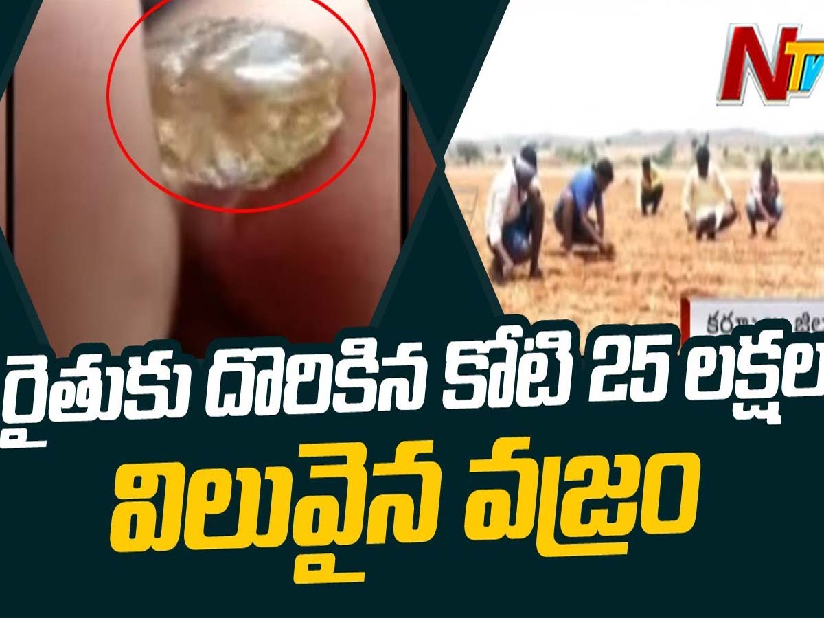 పొలం పనుల్లో వరించిన అదృష్టం… కోటీశ్వరుడైన రైతు …