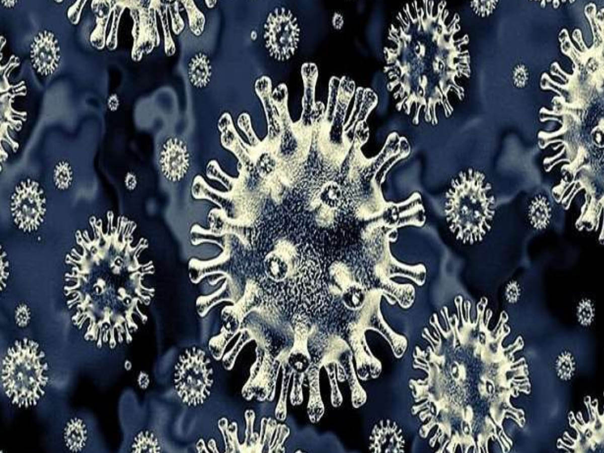 తూర్పుగోదావ‌రి జిల్లాలో పెరుగుతున్న బ్లాక్ ఫంగ‌స్ కేసులు…