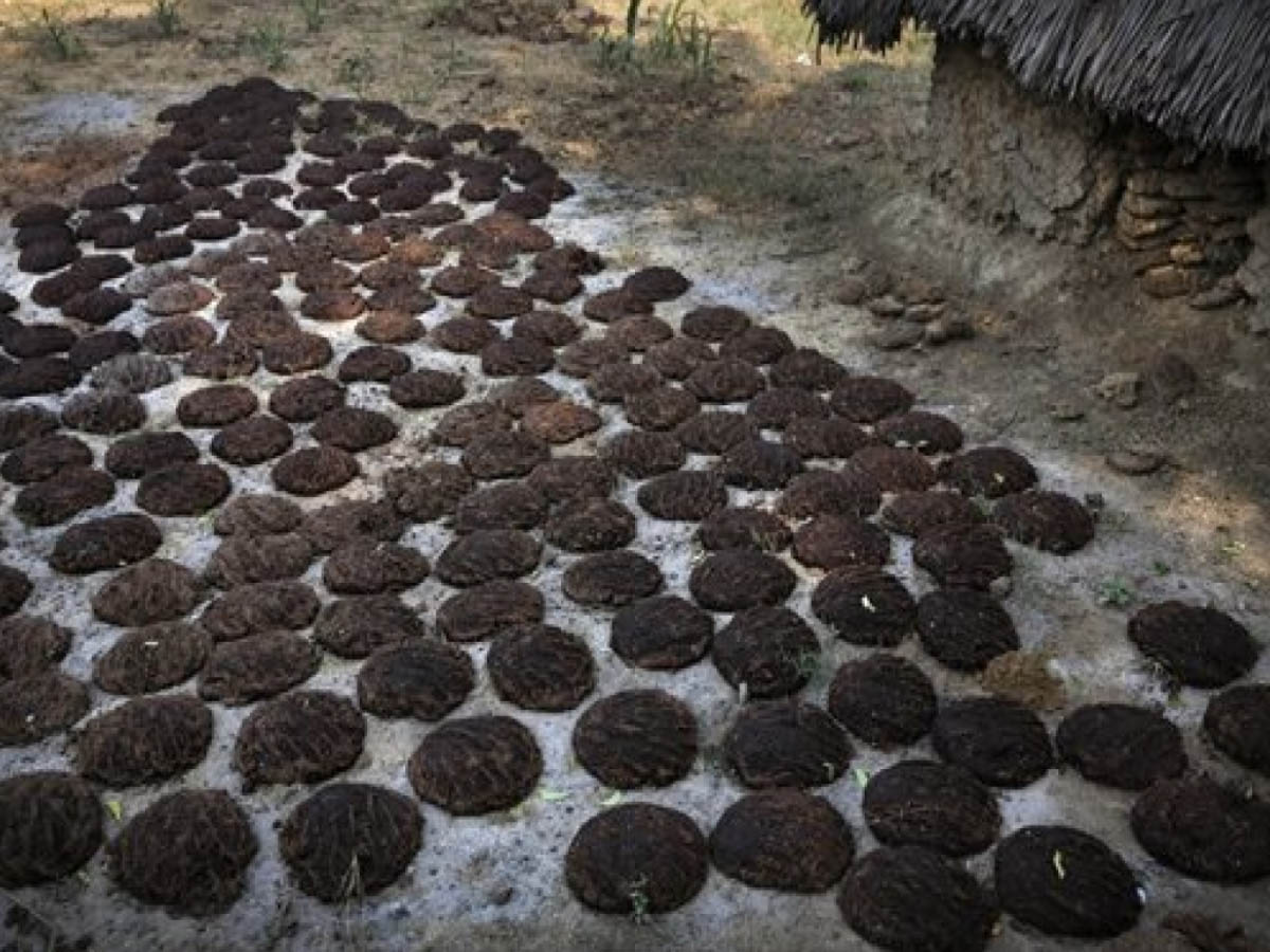 ఆవుపేడ పోగ‌తో క‌రోనా అంతం… తెలంగాణ‌లో స‌రికోత్త ప్ర‌యోగం