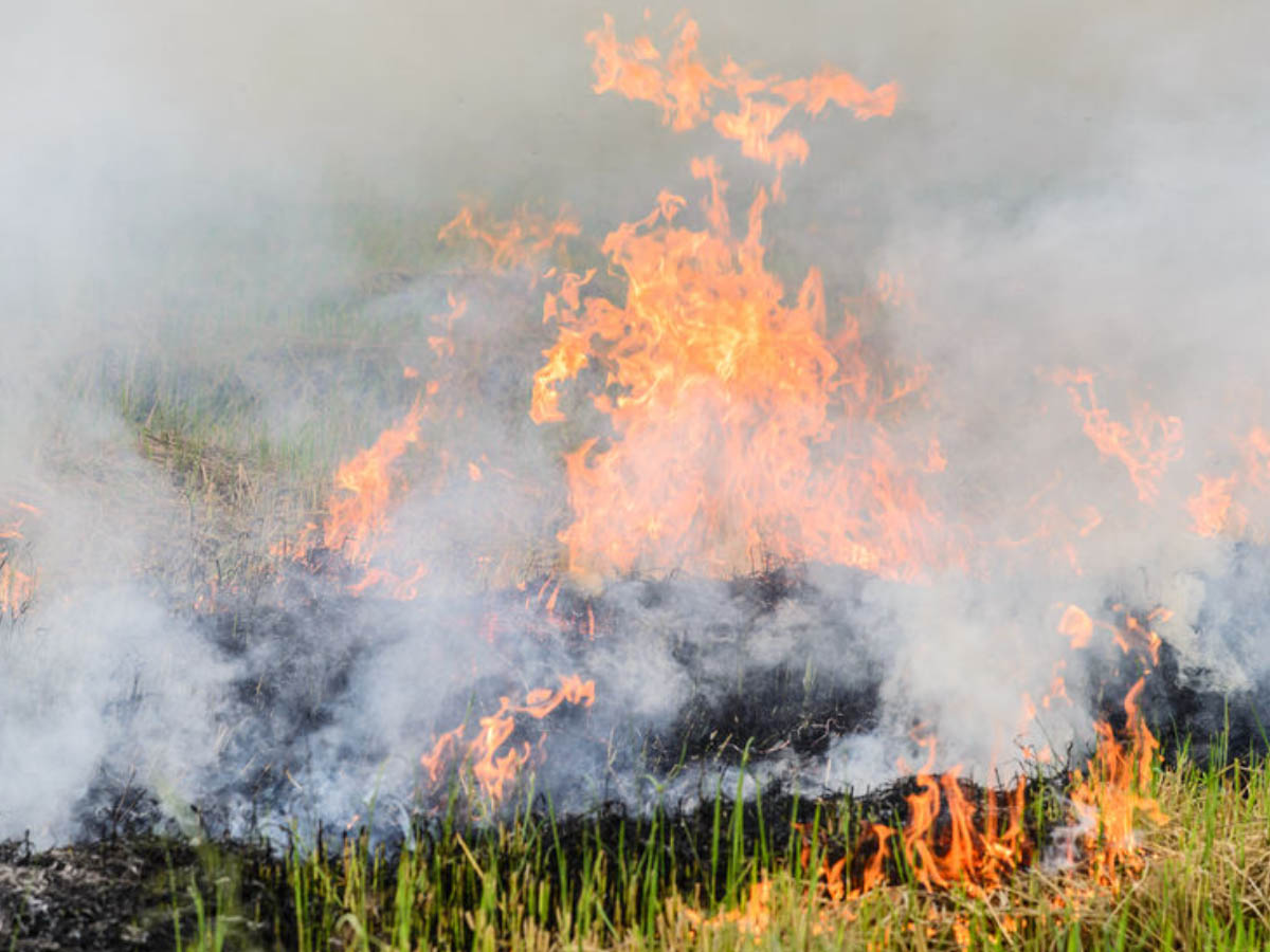 మెద‌క్ జిల్లాలో రైతుల ఆంధోళ‌న‌…భారీగా ట్రాఫిక్ జామ్‌