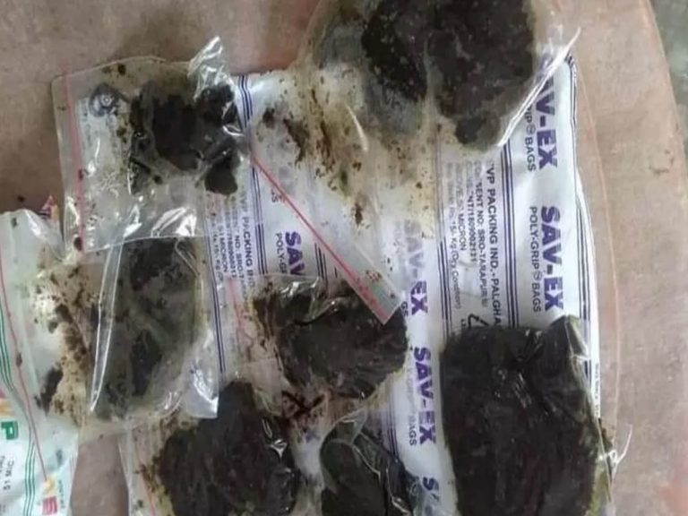 అధ్యయనం జరుగుతోంది… ఆయుర్వేధంగా గుర్తించలేం