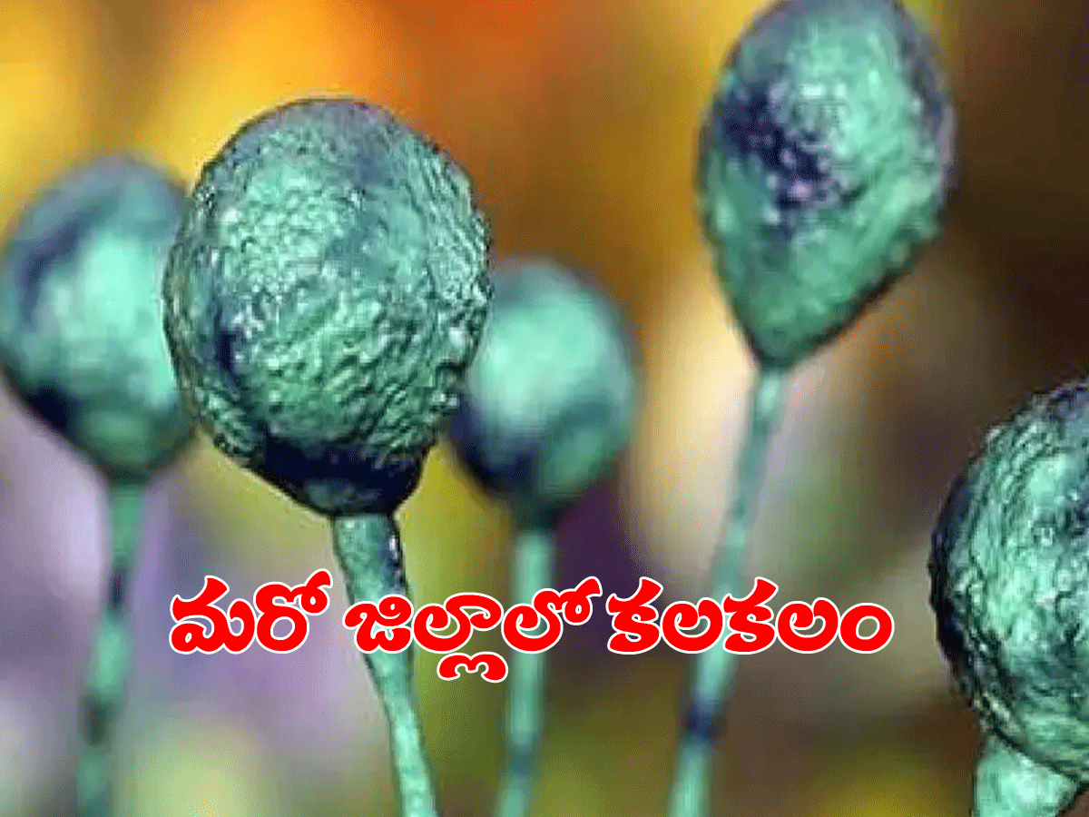 తెలంగాణ‌లో మ‌రో జిల్లాలో బ్లాక్ ఫంగ‌స్ క‌ల‌క‌లం