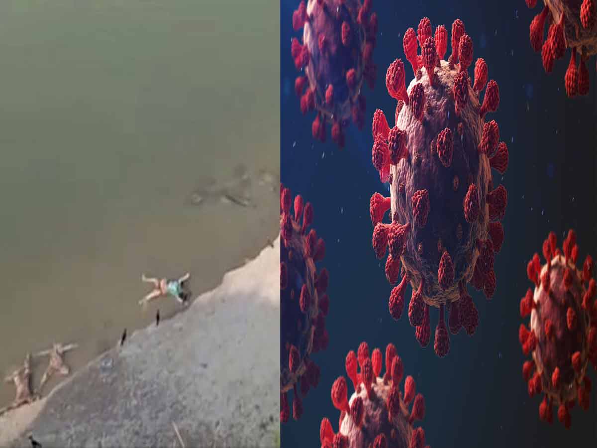 గంగా నదిలో మృతదేహాలు… ఆ నీటి ద్వారా కరోనా వ్యాపిస్తుందా ?