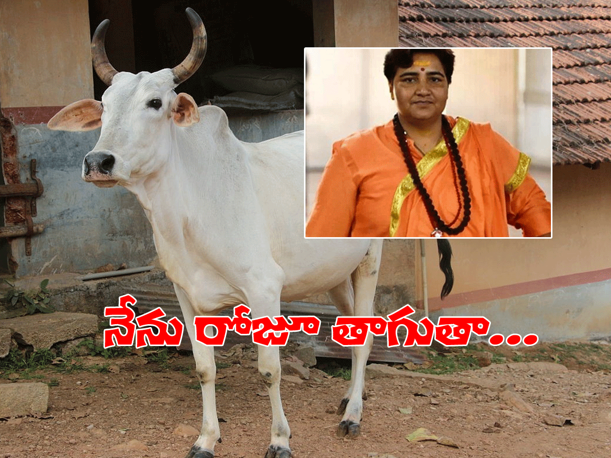 నేను రోజూ గోమూత్రం తాగుతా.. అందుకే నాకు క‌రోనా రాలేదు..