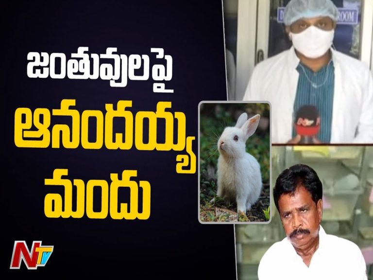 ఆనందయ్య మందుతో జంతువులపైన పరిశోధన
