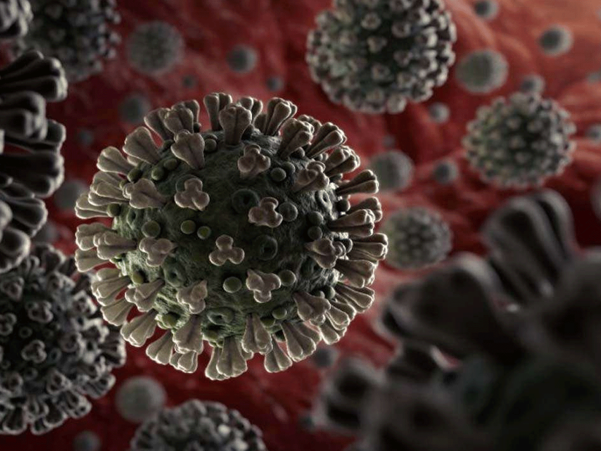 శ్రీకాకుళంలో మరో ఏడు బ్లాక్ ఫంగస్ కేసులు నమోదు…