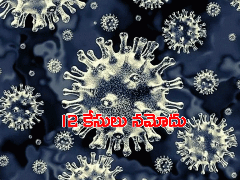 ప్రకాశం జిల్లాలో బ్లాక్ ఫంగస్ కలకలం.. 12 కేసులు న‌మోదు, ముగ్గురు మృతి