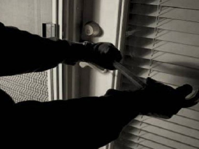 దొంగల హల్​చల్: పెరుగుతున్న చోరీలు