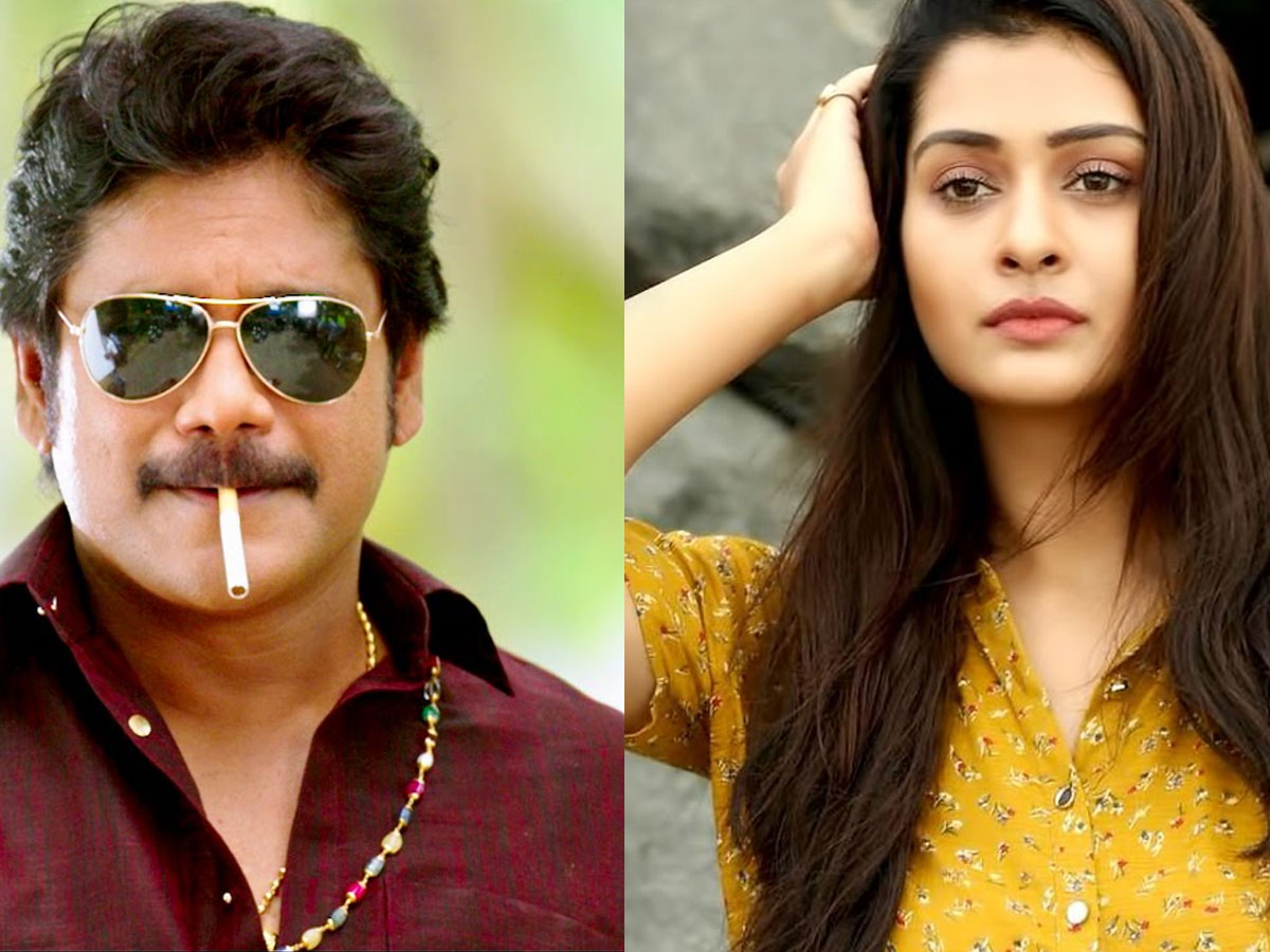 ‘బంగార్రాజు’లో పాయ‌ల్ రాజ్ పుత్ ఐట‌మ్ సాంగ్!