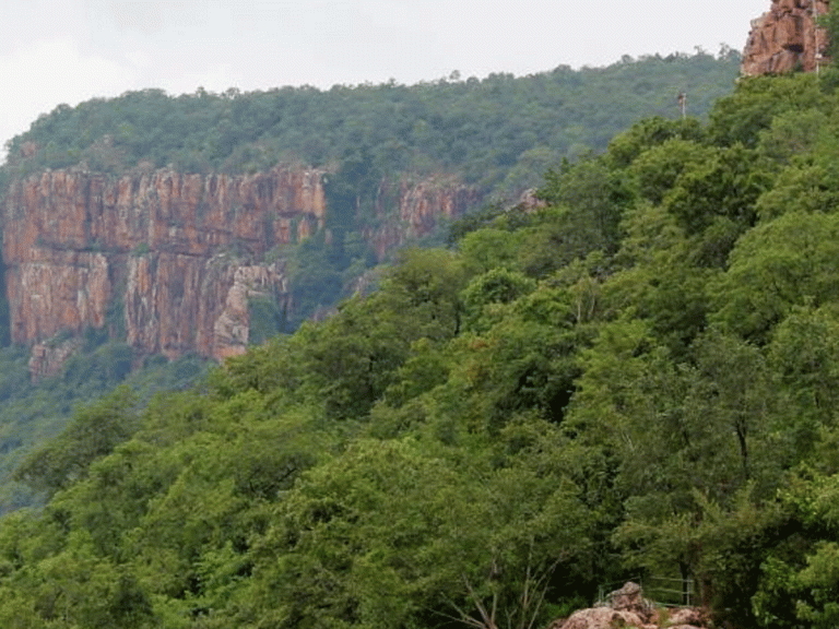 శేషాచల కొండల్లో గుప్త నిధుల కోసం భారీ తవ్వకాలు…