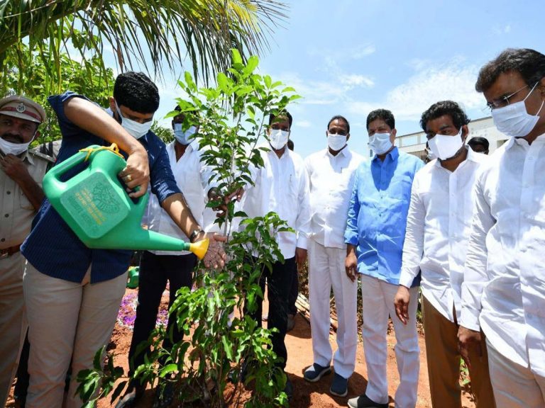 ప్రపంచ పర్యావరణ దినోత్సవం : మొక్కలు నాటిన ఎంపి సంతోష్ కుమార్