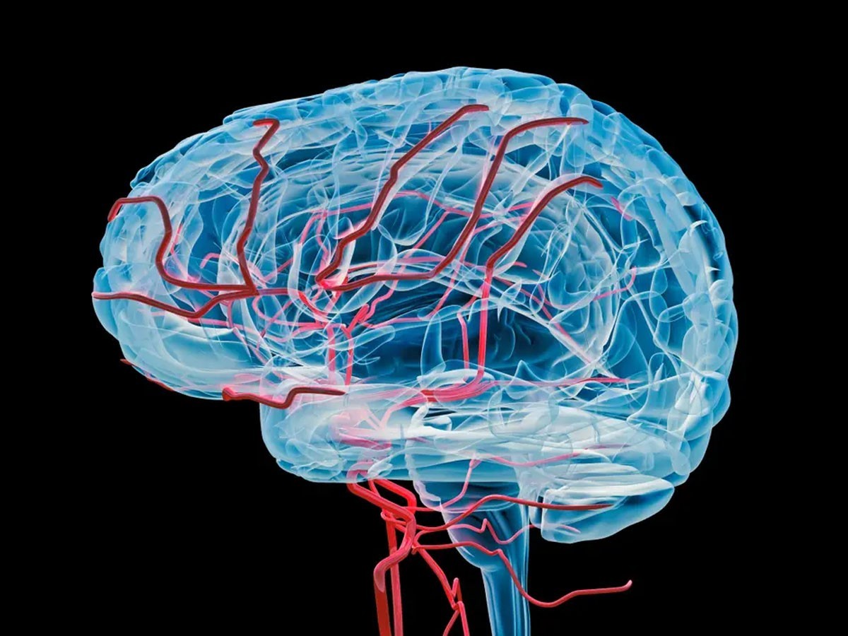 కెన‌డాలో మ‌రో వింత‌వ్యాధి…అప్ర‌మ‌త్త‌మైన ప్ర‌భుత్వం..