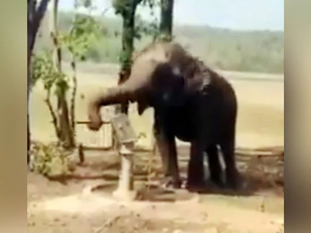 వైర‌ల్ః దాహం తీర్చుకోవ‌డానికి ఏనుగు ఏంచేసిందో చూశారా…