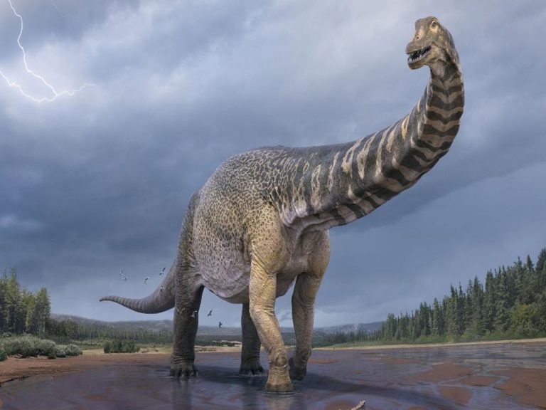 ఆస్ట్రేలియాలో భారీ డైనోసార్‌….