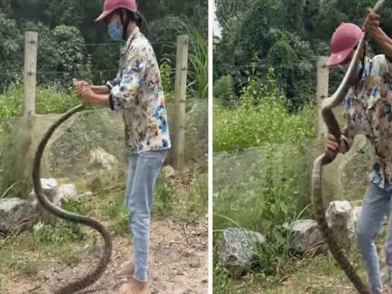 బాబోయ్… యువ‌తి సాహాసాన్ని చూస్తే..