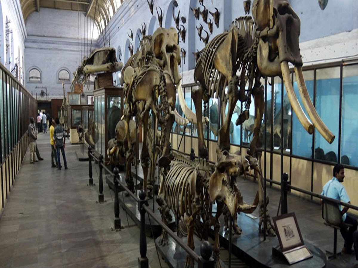 నేటి నుంచి మ‌రిన్ని స‌డ‌లింపులు…తెరుచుకోనున్న మ్యూజియాలు…