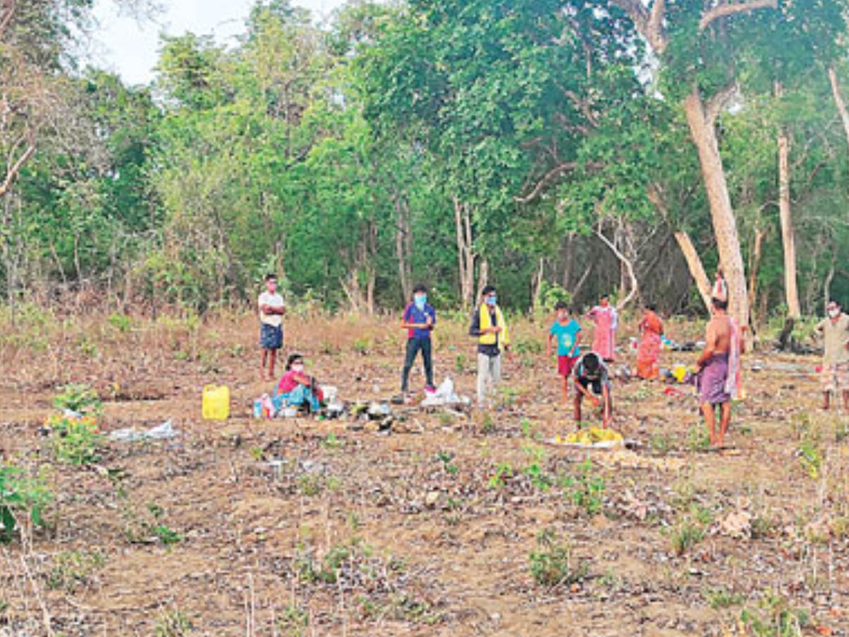 క‌రోనా భ‌యంతో అడ‌విలోనే ఐసోలేష‌న్‌…