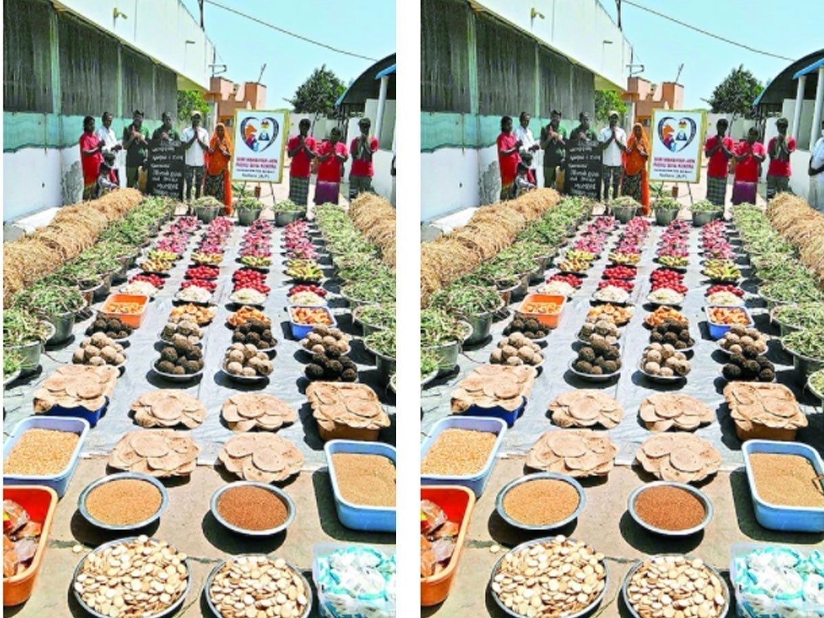 మూగ‌జీవాల‌కు పెళ్లివిందు…ఆద‌ర్శంగా నిలిచిన పెళ్లిజంట‌…