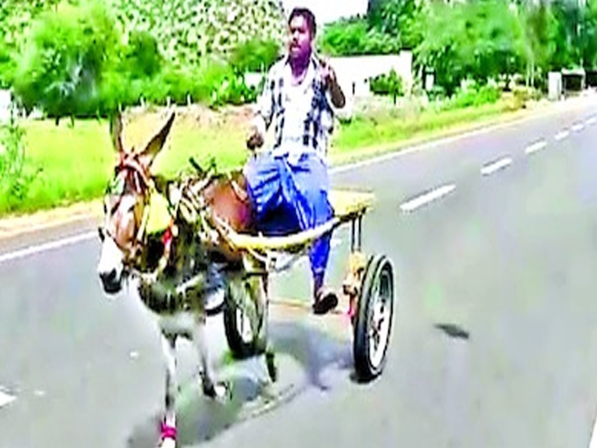 పెట్రోల్‌కు భ‌య‌ప‌డి…జ‌ట్కా బండి ఎక్కి…