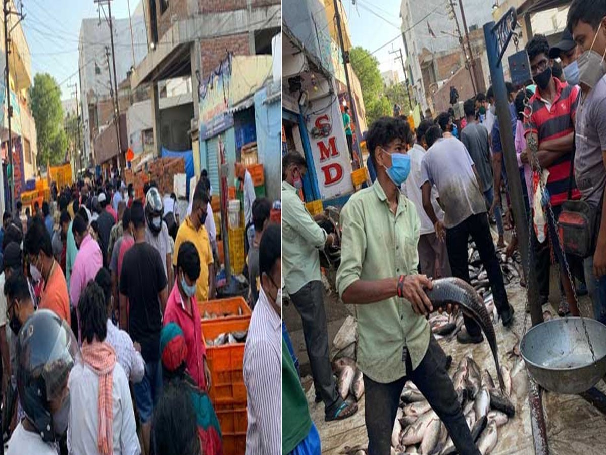 మృగ‌శిర కార్తెః చేప‌ల‌కు పుల్ డిమాండ్‌…