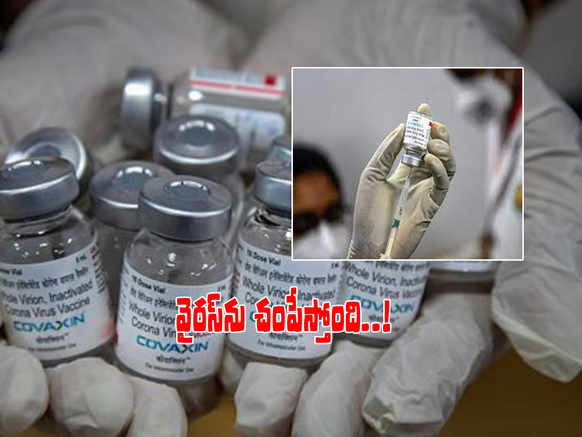 కోవాగ్జిన్‌కు అమెరికా కితాబు.. ఆ వేరియింట్లపై కూడా సమర్థవంతంగా..!