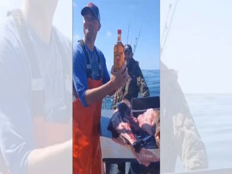 చేప క‌డుపులో పుల్ విస్కీబాటిల్ః సోష‌ల్ మీడియాలో వైర‌ల్‌…