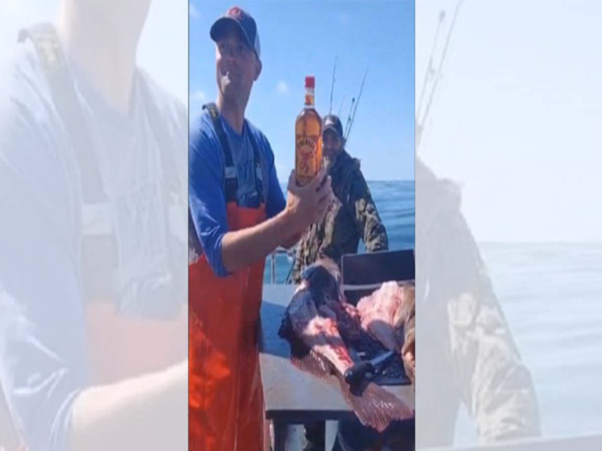 చేప క‌డుపులో పుల్ విస్కీబాటిల్ః సోష‌ల్ మీడియాలో వైర‌ల్‌…