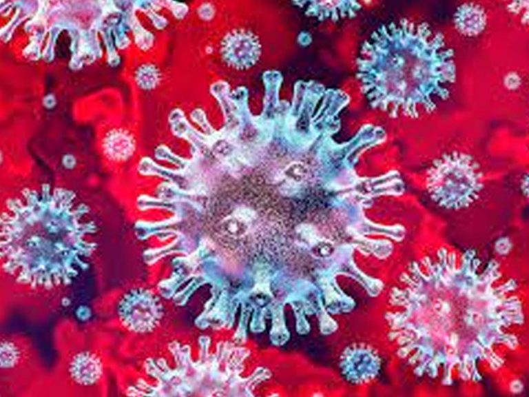 ఈ బిస్కెట్స్‌తో క‌రోనాకు చెక్ పెట్టొచ్చా…!!