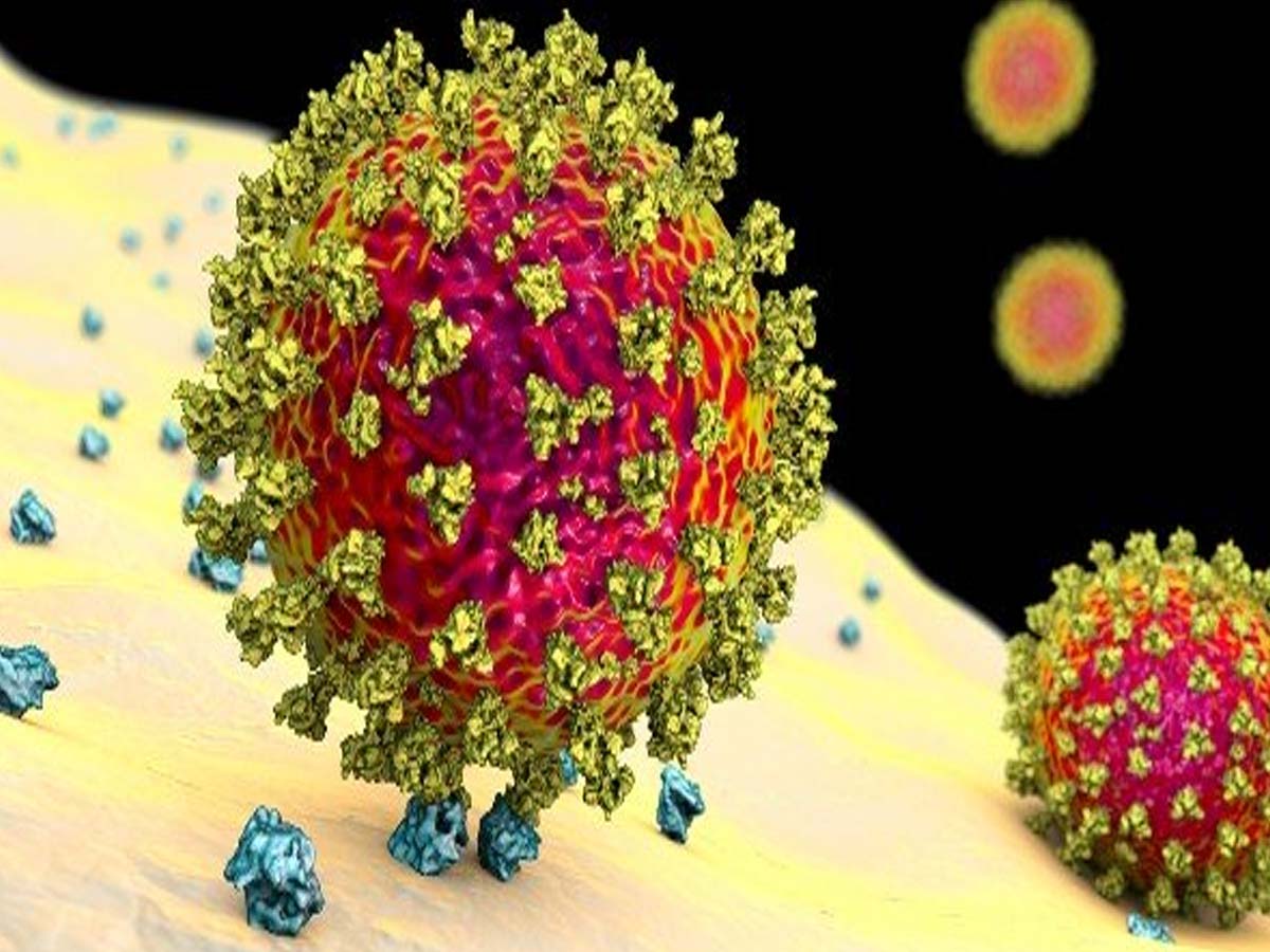 కొత్త‌గా మ‌రో వేరియంట్‌…29 దేశాల్లో క‌ల‌క‌లం…