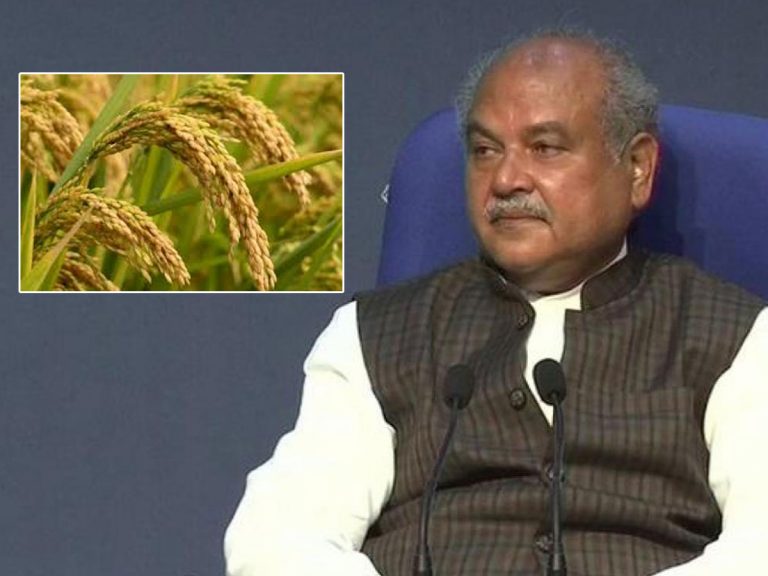 రైతులకు గుడ్‌న్యూస్‌.. ఖరీఫ్‌ పంటలకు కనీస మద్దతు ధరలు పెంపు