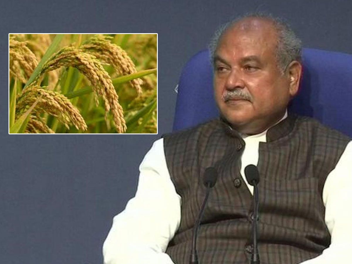 రైతులకు గుడ్‌న్యూస్‌.. ఖరీఫ్‌ పంటలకు కనీస మద్దతు ధరలు పెంపు