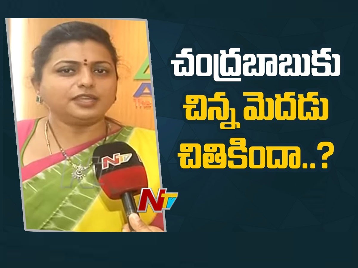 చంద్రబాబుకి చిన్నమెదడు చితికిందా..? రోజా ఫైర్‌