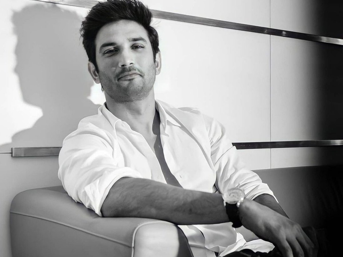 సుశాంత్ కేసులో సిబిఐ, ఈడీ, ఎన్‌సిబి  ఏం తేల్చిందంటే ?