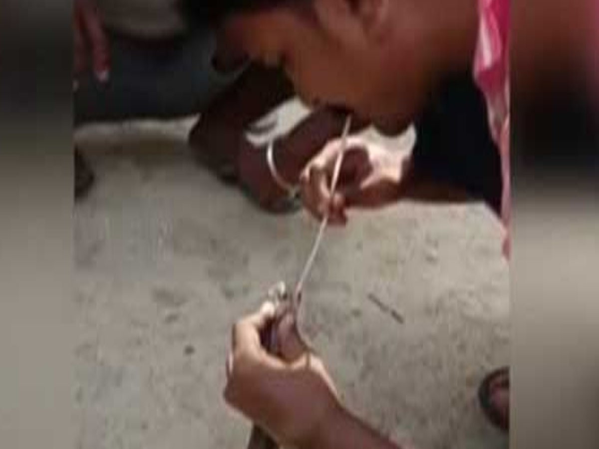 యువ‌కుడి సాహ‌సంః పాముకు ఊపిరిని ఇలా అందించి బ‌తికించాడు…