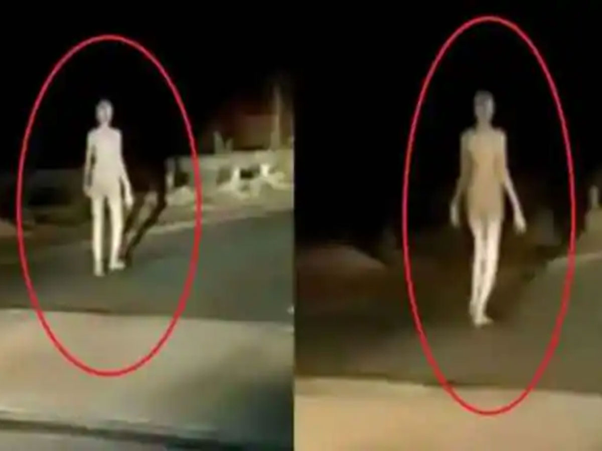 అది ఏలియన్ కాదు, దెయ్యం అంతకంటే కాదు.. బూడిద పూసుకున్న మహిళ