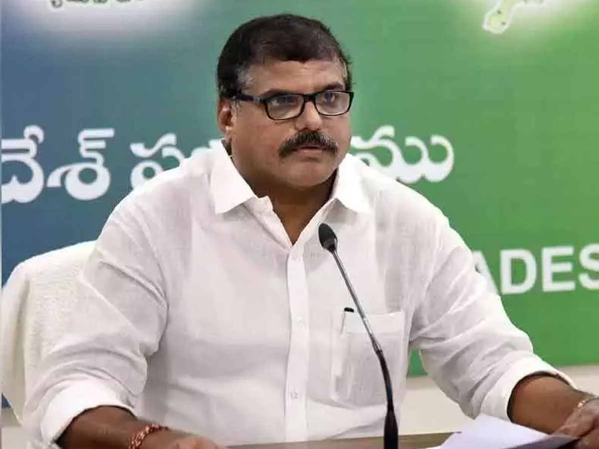 ఆకస్మిక తనిఖీలు చేపడతాం: మంత్రి బొత్స