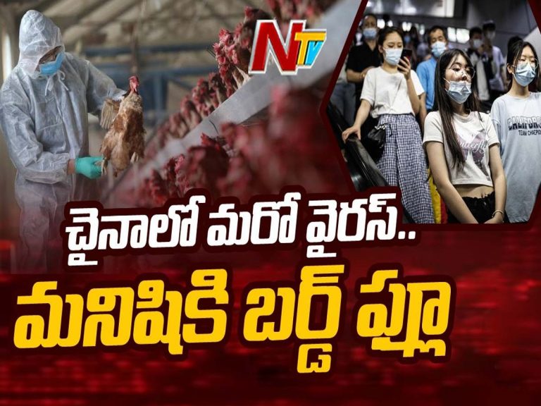 చైనాలో కలకలం : ప్రపంచంలోనే తొలిసారి మనిషికి బర్డ్ ఫ్లూ