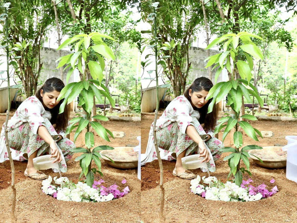 గ్రీన్ ఇండియా ఛాలెంజ్ స్వీకరించిన  స్మితా సబర్వాల్..