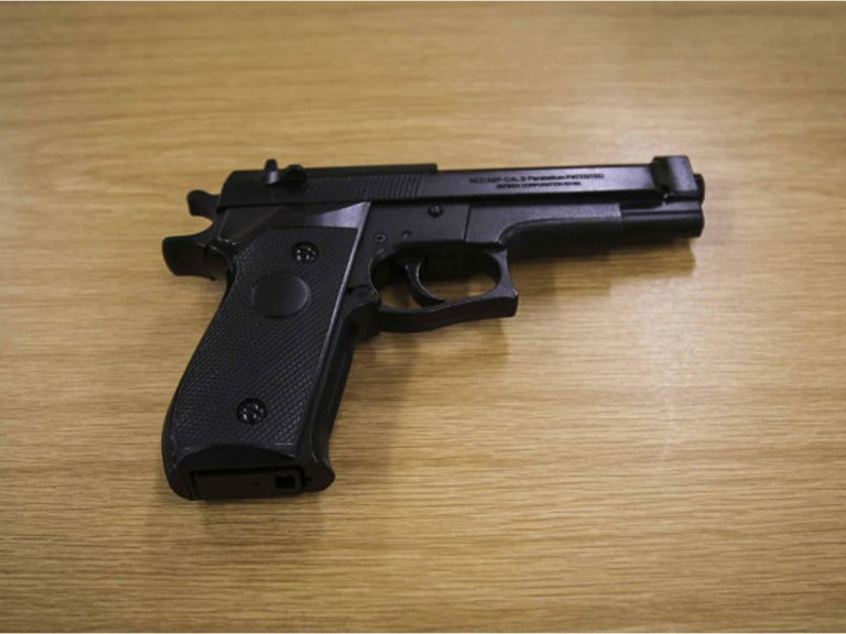 కరిచిందని.. పొరుగింటి కుక్కను తుపాకీతో కాల్చాడు